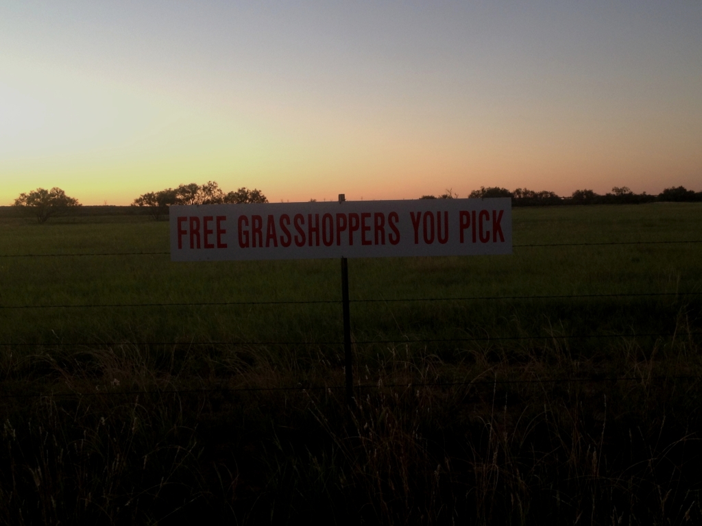 Free Grasshoppers
